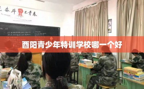 酉阳青少年特训学校哪一个好