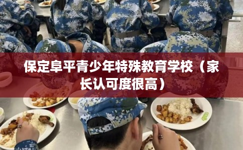 保定阜平青少年特殊教育学校（家长认可度很高）