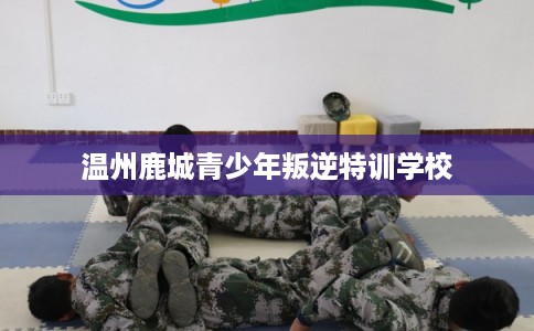 温州鹿城青少年叛逆特训学校