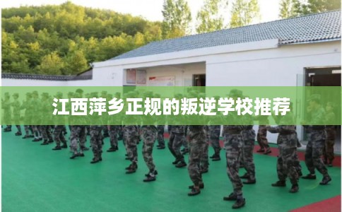 江西萍乡正规的叛逆学校推荐