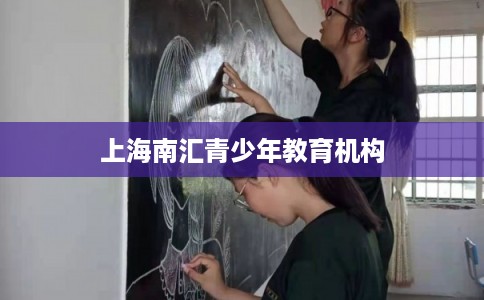 上海南汇青少年教育机构