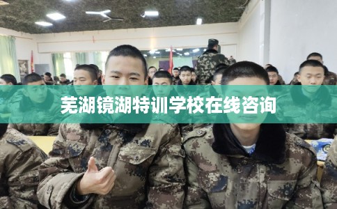 芜湖镜湖特训学校在线咨询