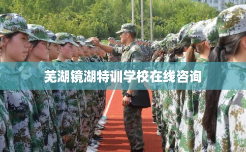 芜湖镜湖特训学校在线咨询