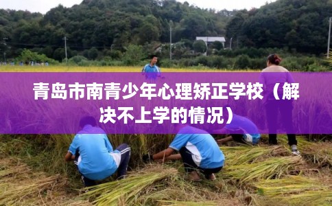 青岛市南青少年心理矫正学校（解决不上学的情况）