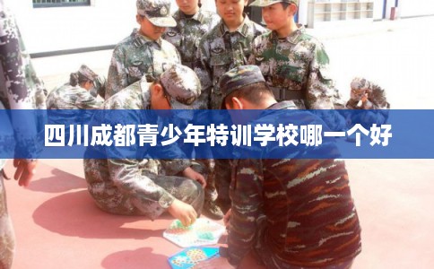 四川成都青少年特训学校哪一个好