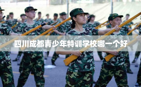 四川成都青少年特训学校哪一个好