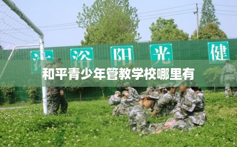 和平青少年管教学校哪里有