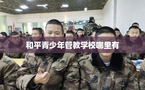 和平青少年管教学校哪里有