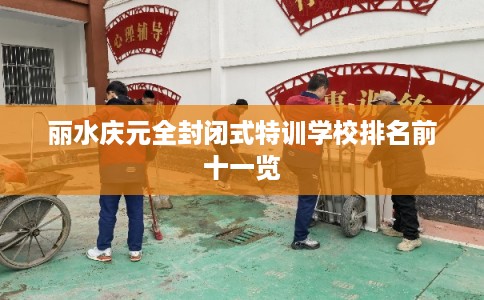 丽水庆元全封闭式特训学校排名前十一览
