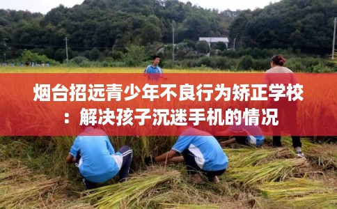 烟台招远青少年不良行为矫正学校：解决孩子沉迷手机的情况