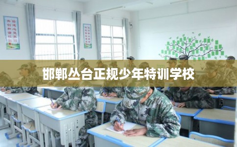 邯郸丛台正规少年特训学校