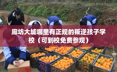 廊坊大城哪里有正规的叛逆孩子学校（可到校免费参观）