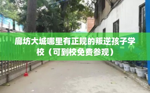 廊坊大城哪里有正规的叛逆孩子学校（可到校免费参观）