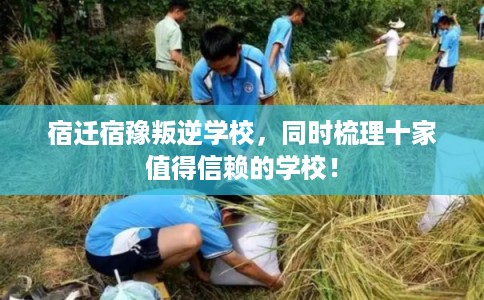 宿迁宿豫叛逆学校，同时梳理十家值得信赖的学校！