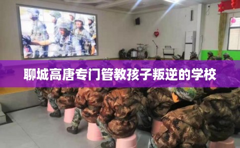 聊城高唐专门管教孩子叛逆的学校