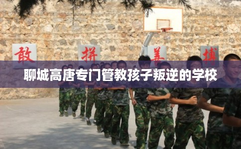 聊城高唐专门管教孩子叛逆的学校