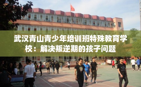 武汉青山青少年培训班特殊教育学校：解决叛逆期的孩子问题