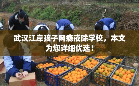 武汉江岸孩子网瘾戒除学校，本文为您详细优选！