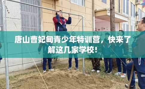 唐山曹妃甸青少年特训营，快来了解这几家学校!