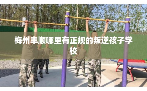 梅州丰顺哪里有正规的叛逆孩子学校