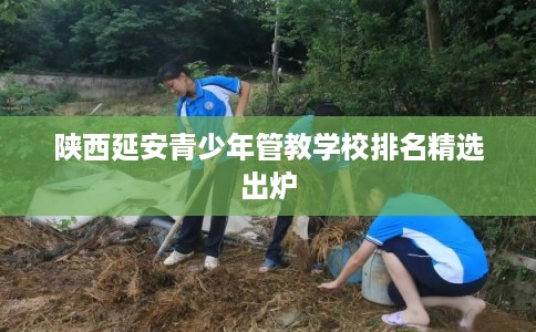 陕西延安青少年管教学校排名精选出炉