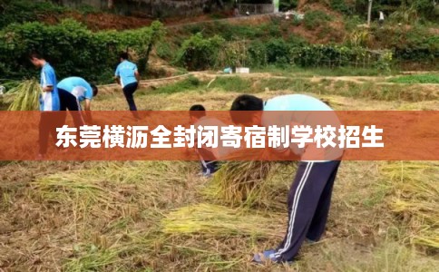 东莞横沥全封闭寄宿制学校招生