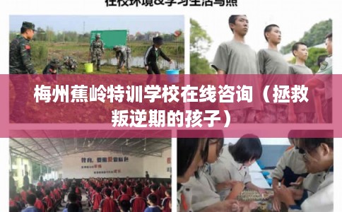 梅州蕉岭特训学校在线咨询（拯救叛逆期的孩子）