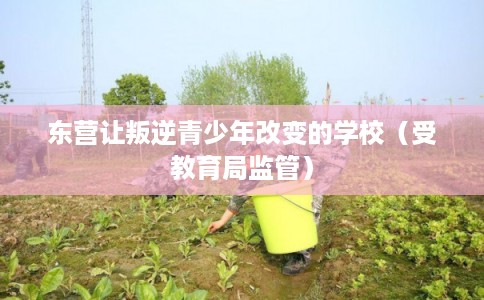 东营让叛逆青少年改变的学校（受教育局监管）