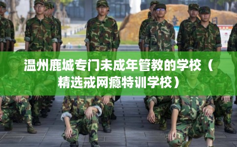 温州鹿城专门未成年管教的学校（精选戒网瘾特训学校）