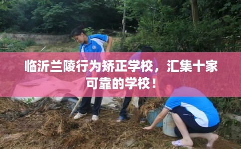 临沂兰陵行为矫正学校，汇集十家可靠的学校！