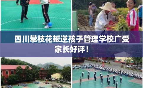 四川攀枝花叛逆孩子管理学校广受家长好评！