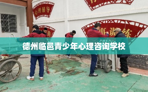 德州临邑青少年心理咨询学校