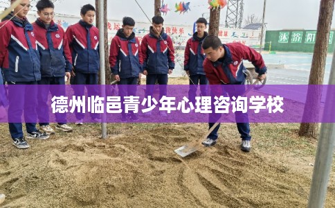 德州临邑青少年心理咨询学校