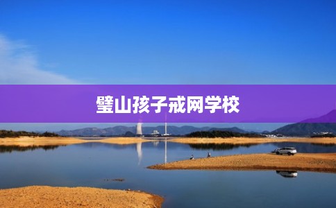 璧山孩子戒网学校
