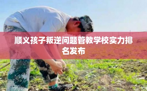 顺义孩子叛逆问题管教学校实力排名发布