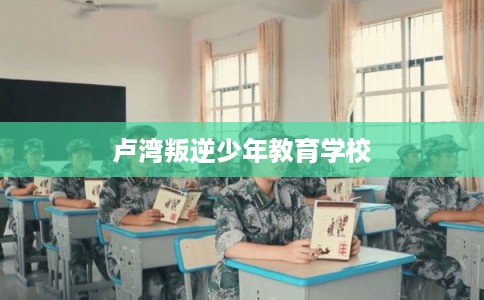 卢湾叛逆少年教育学校