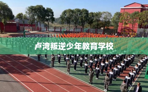 卢湾叛逆少年教育学校