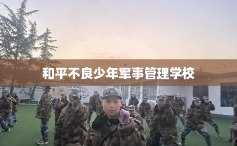 和平不良少年军事管理学校