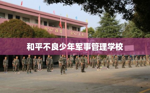和平不良少年军事管理学校