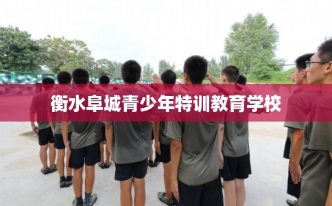 衡水阜城青少年特训教育学校
