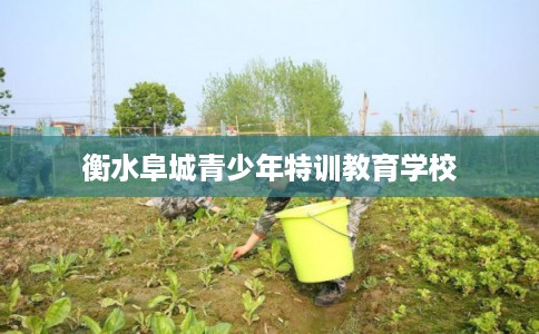 衡水阜城青少年特训教育学校