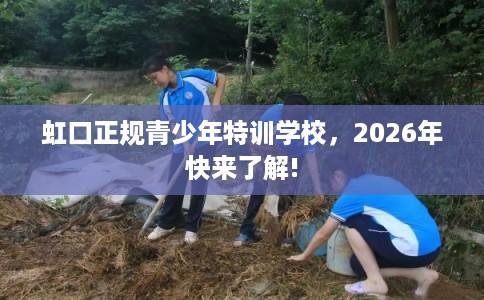 虹口正规青少年特训学校，2026年快来了解!