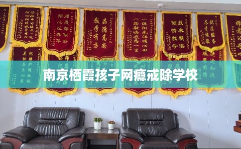 南京栖霞孩子网瘾戒除学校 南京栖霞孩子网瘾戒除学校