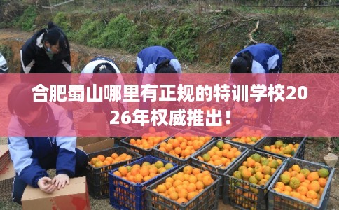合肥蜀山哪里有正规的特训学校2026年权威推出！