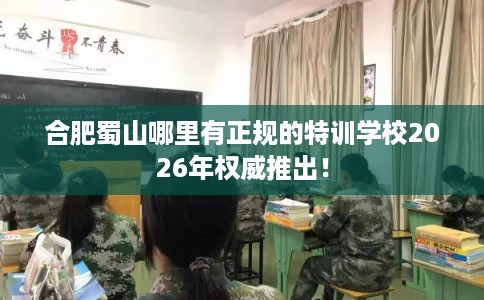 合肥蜀山哪里有正规的特训学校2026年权威推出！