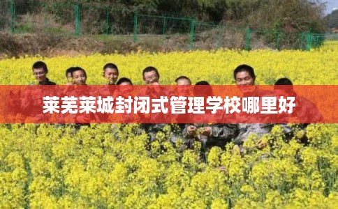 莱芜莱城封闭式管理学校哪里好