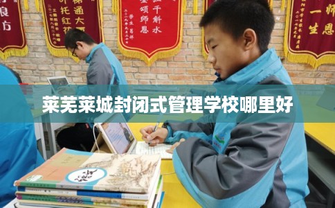 莱芜莱城封闭式管理学校哪里好