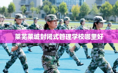 莱芜莱城封闭式管理学校哪里好