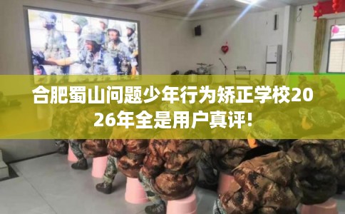 合肥蜀山问题少年行为矫正学校2026年全是用户真评!