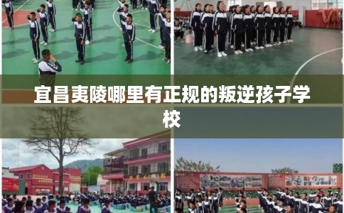 宜昌夷陵哪里有正规的叛逆孩子学校